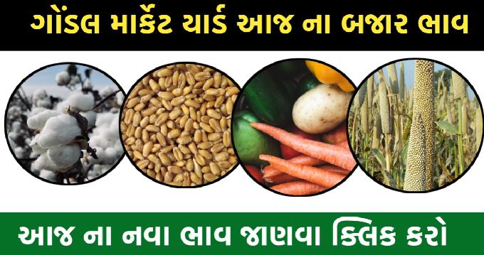 ગોંડલ બજાર ભાવ